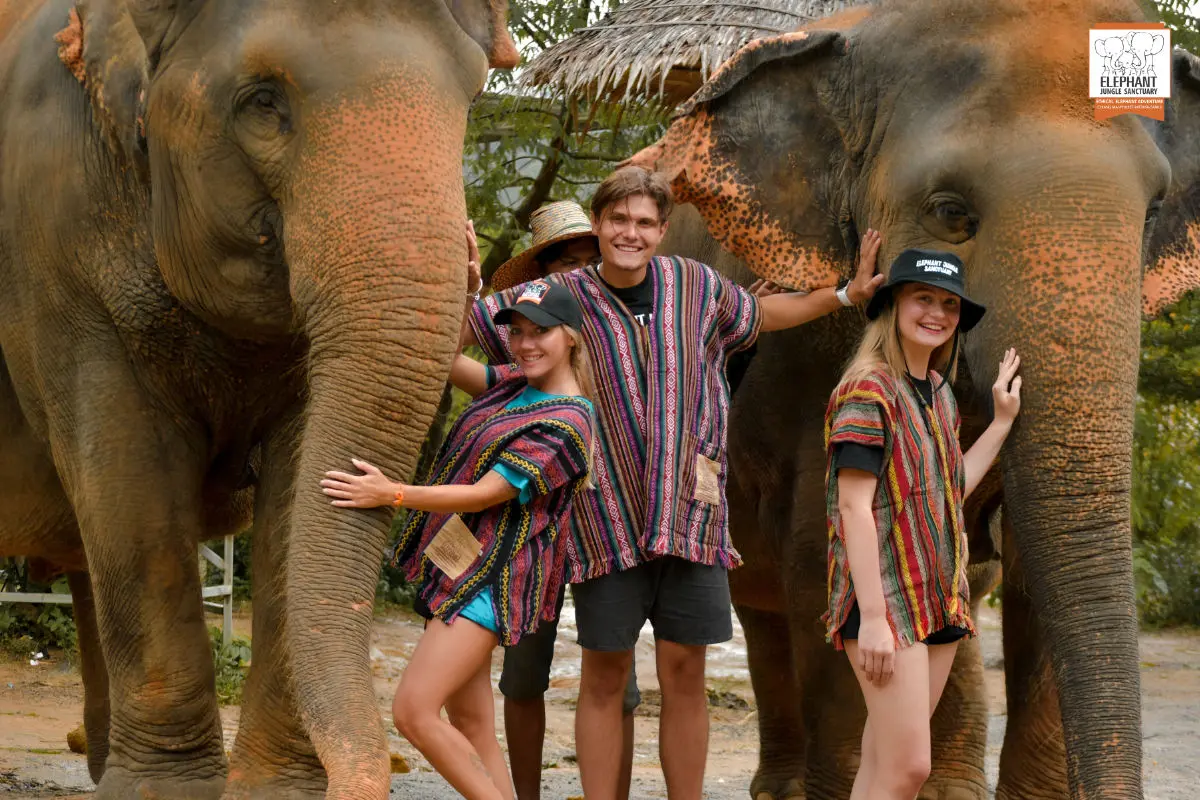 Feed & Shower with Elephants Experience gallery image 2